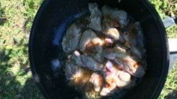 плов узбекский классический