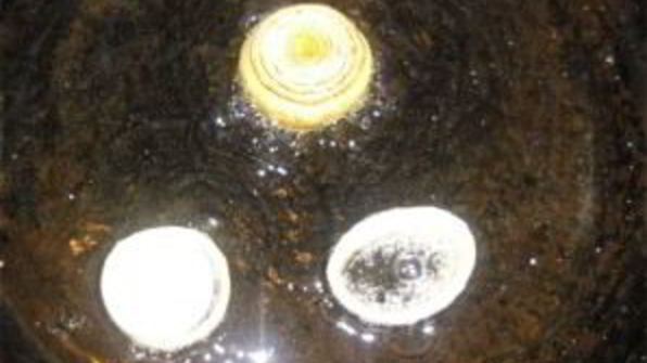 узбекский плов из свинины