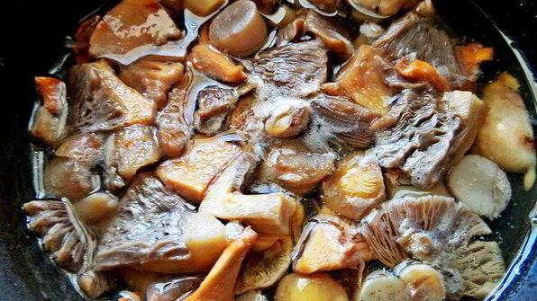 грибное рагу с овощами