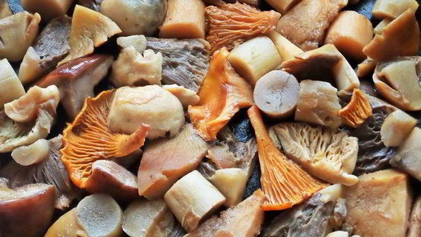 грибное рагу с овощами