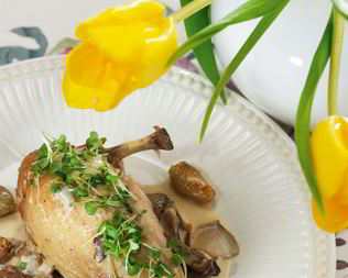 Куриное фрикасе с грибами