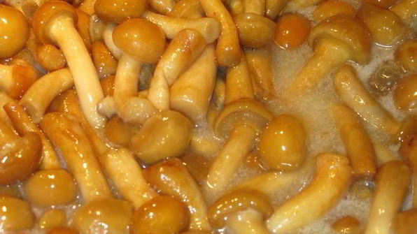 зеленое ризотто с опятами и креветками