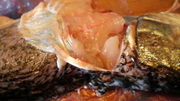 фаршированная щука