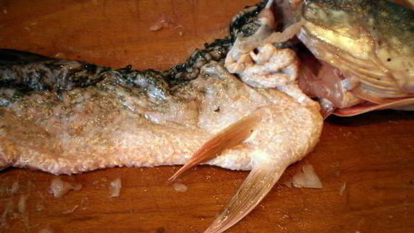 фаршированная щука