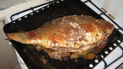 Фаршированный карп