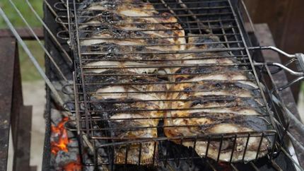Карп на мангале