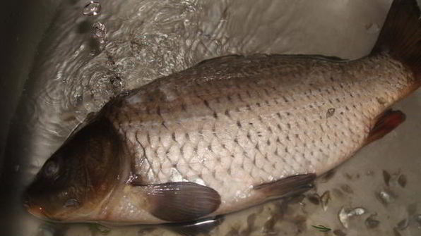 карп, запеченный с овощами со сметанным соусом