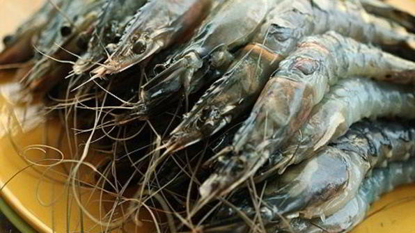 креветки гриль в цитрусовом маринаде