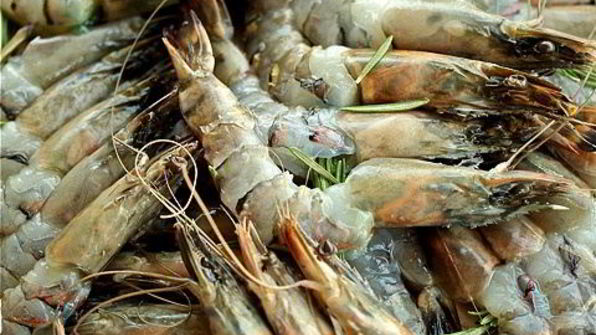 креветки гриль в цитрусовом маринаде