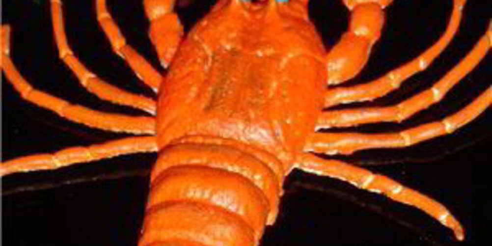 Рецепт раков