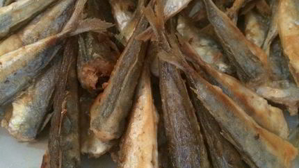 Жареная ставрида