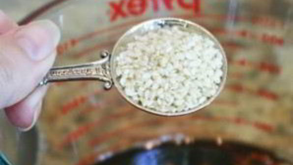 шашлык гармошкой