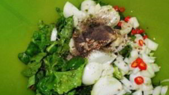 шашлык из бобра