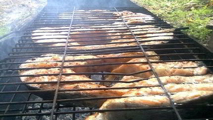 Шашлык из рыбы на костре