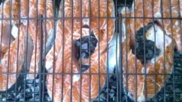 шашлык из рыбы на костре