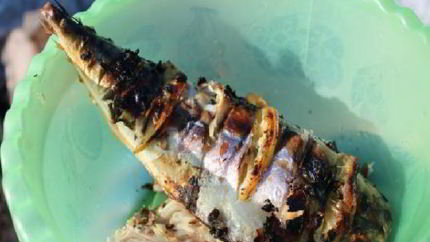 Шашлык из скумбрии