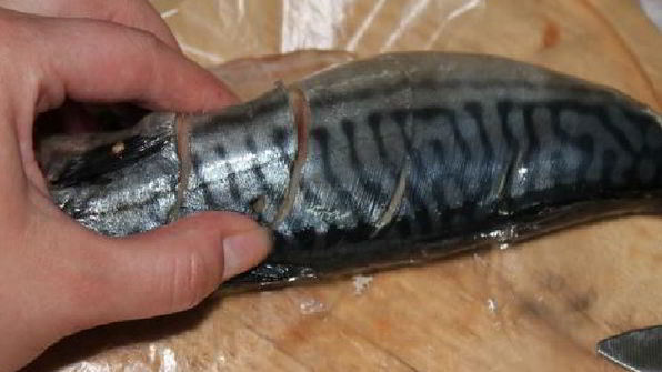 шашлык из скумбрии