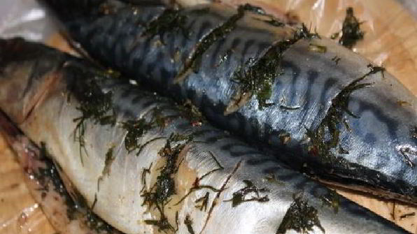 шашлык из скумбрии