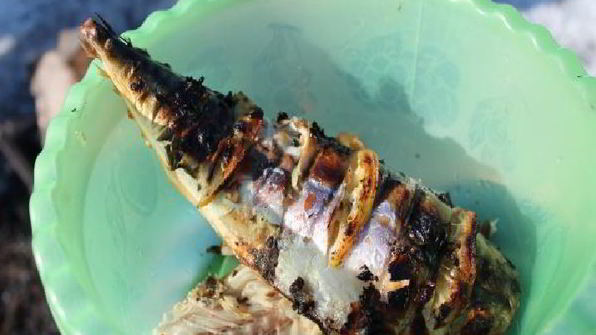 шашлык из скумбрии