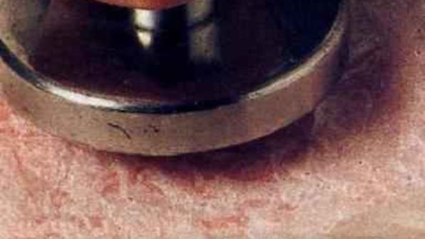 шницели алла миланезе фаршированные