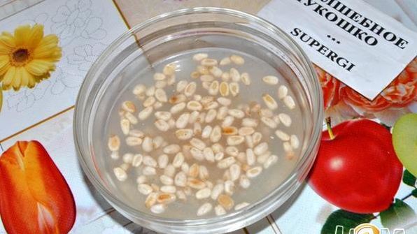 стейк с брюссельской капустой и сельдереем