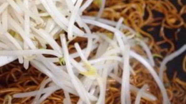 яичная лапша с соевым соусом