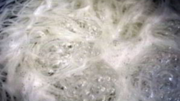 японская лапша со свининой