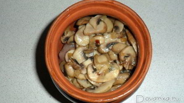 жаркое из курицы с грибами и картофелем в горшочках