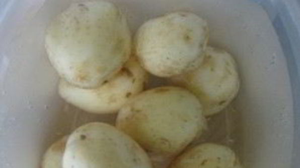 жаркое из цыпленка