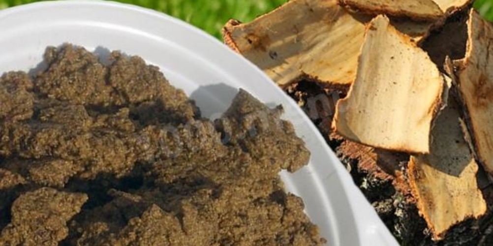 Рецепт березовой каши