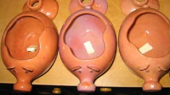 каша гречневая с белыми грибами