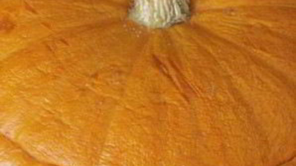 каша в тыкве