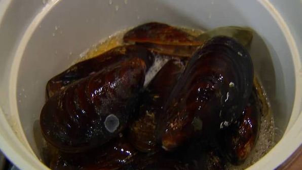 полента с мидиями и беконом