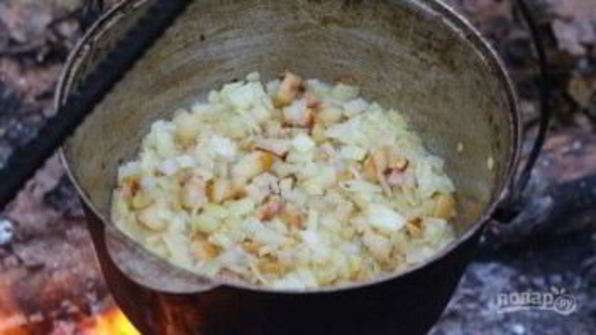 полевая каша