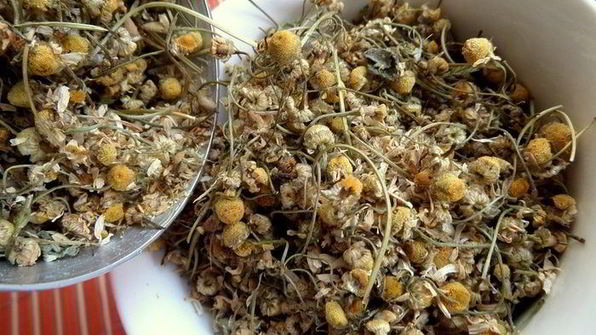 бруснично-ромашковый чай с мятой