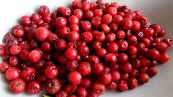 бруснично-ромашковый чай с мятой