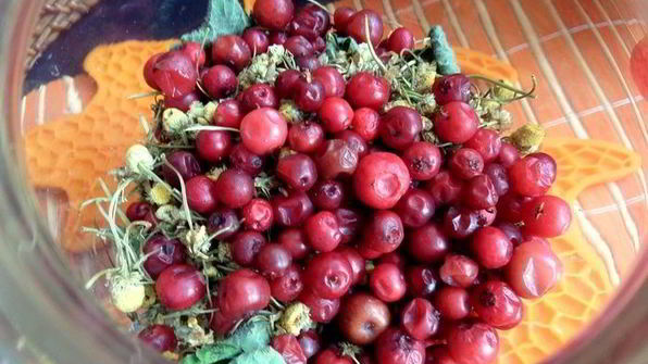 бруснично-ромашковый чай с мятой