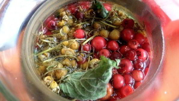 бруснично-ромашковый чай с мятой