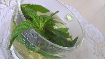 Марокканский мятный чай