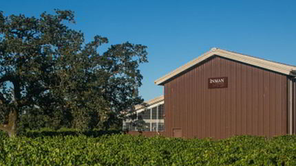 Домашнее вино из алычи