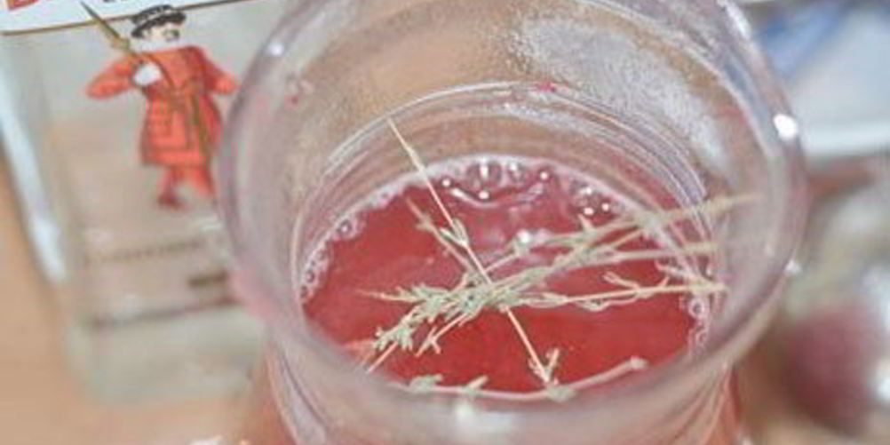 Рецепт горячего клюквенного напитка с джином