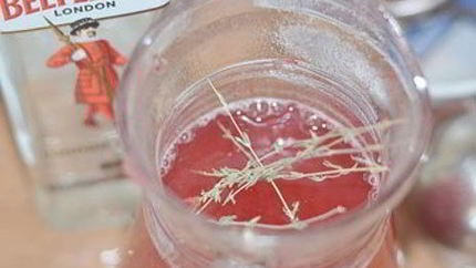 Горячий клюквенный напиток с джином