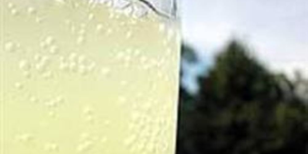 Рецепт имбирного эля