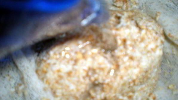 старорусский овсяный кисель