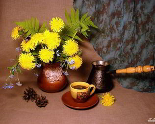 Кофе из корней одуванчика