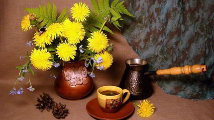 Кофе из корней одуванчика