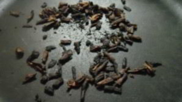 кофе из корней одуванчика