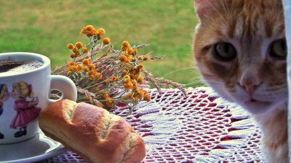 кофе с кунжутом