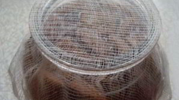 квас из квасного сусла