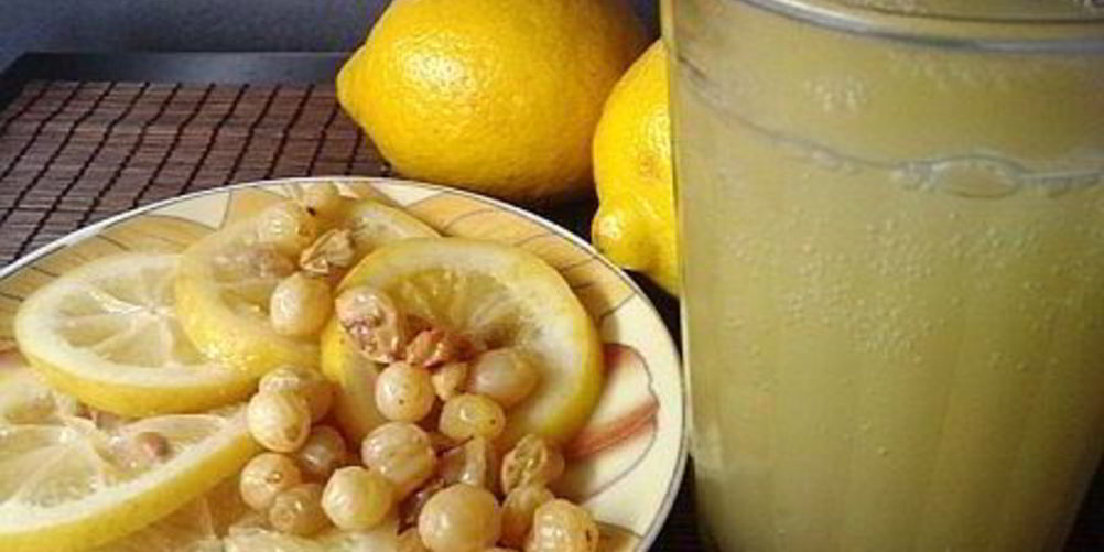 Рецепт кваса из лимона